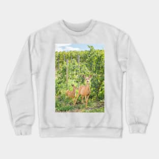 Doe and Fawn Standing in Summer Vineyard Crewneck Sweatshirt